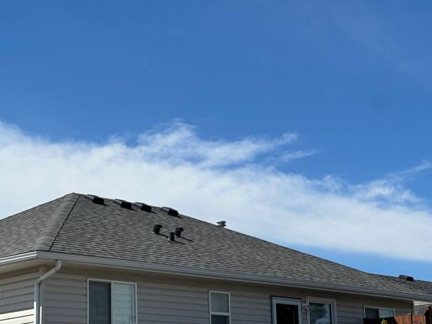 Best Roof Moss and Algae Removal  in Red Hill, PA